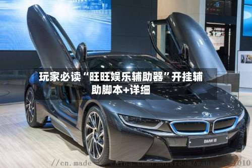 玩家必读“旺旺娱乐辅助器	”开挂辅助脚本+详细-第1张图片