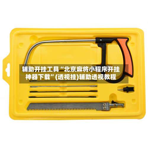 辅助开挂工具“北京麻将小程序开挂神器下载”(透视挂)辅助透视教程-第1张图片