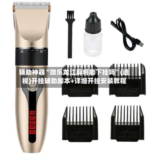 辅助神器“微乐龙江麻将能下挂吗”(透视)开挂辅助脚本+详细开挂安装教程-第3张图片