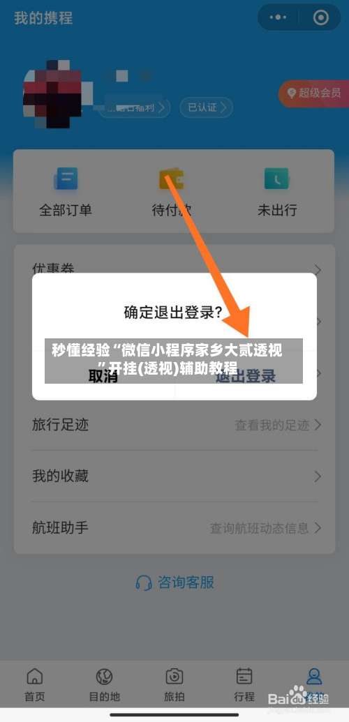 秒懂经验“微信小程序家乡大贰透视”开挂(透视)辅助教程-第2张图片