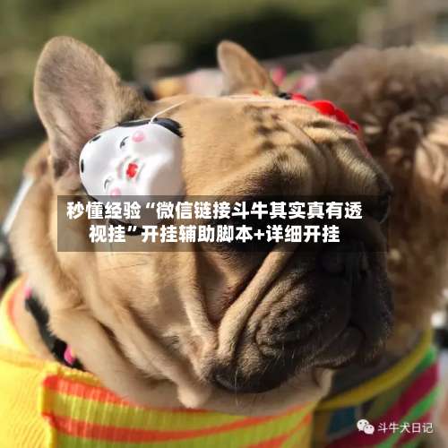 秒懂经验“微信链接斗牛其实真有透视挂”开挂辅助脚本+详细开挂-第2张图片