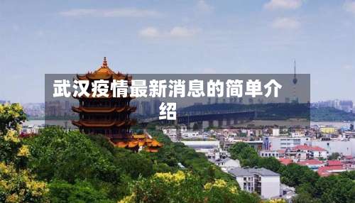 武汉疫情最新消息的简单介绍-第2张图片