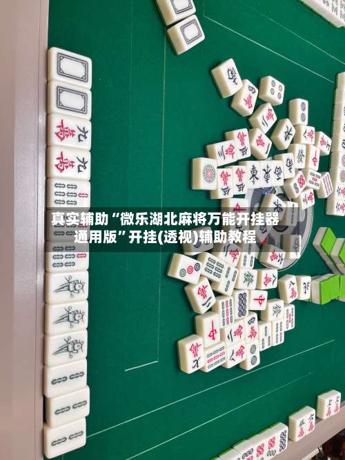 真实辅助“微乐湖北麻将万能开挂器通用版”开挂(透视)辅助教程-第3张图片