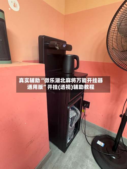 真实辅助“微乐湖北麻将万能开挂器通用版”开挂(透视)辅助教程-第1张图片