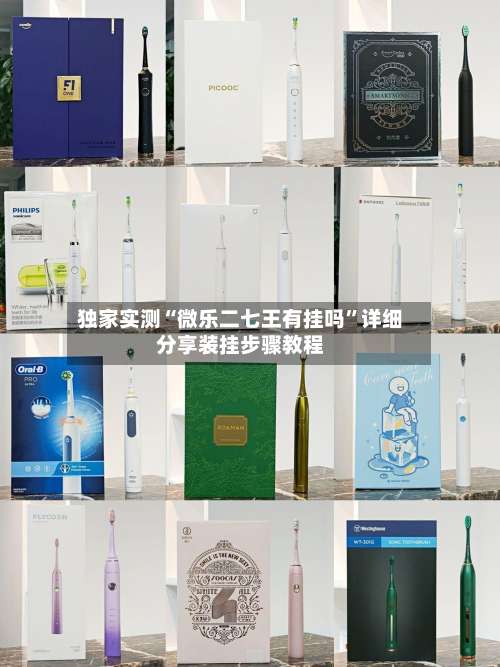 独家实测“微乐二七王有挂吗”详细分享装挂步骤教程-第1张图片