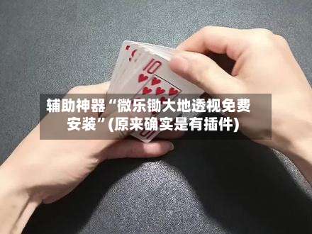 辅助神器“微乐锄大地透视免费安装”(原来确实是有插件)-第2张图片