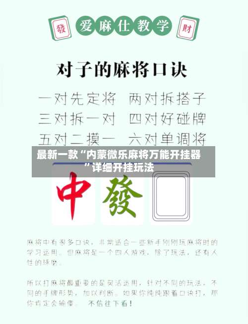 最新一款“内蒙微乐麻将万能开挂器”详细开挂玩法-第2张图片
