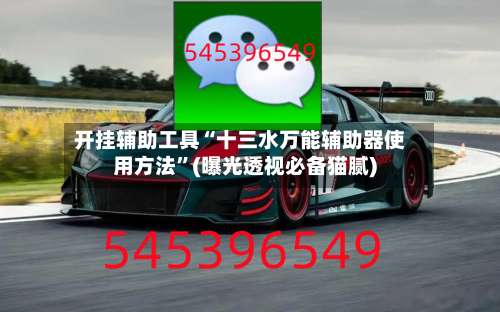 开挂辅助工具“十三水万能辅助器使用方法”(曝光透视必备猫腻)-第2张图片