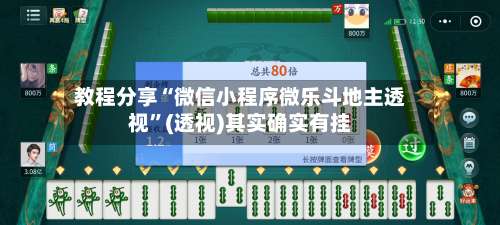 教程分享“微信小程序微乐斗地主透视	”(透视)其实确实有挂-第2张图片