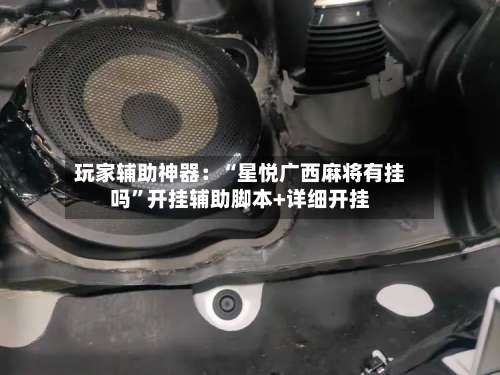 玩家辅助神器：“星悦广西麻将有挂吗	”开挂辅助脚本+详细开挂-第3张图片