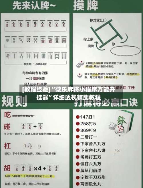 [教程经验]“微乐麻将小程序万能开挂器”详细透视辅助教程-第2张图片