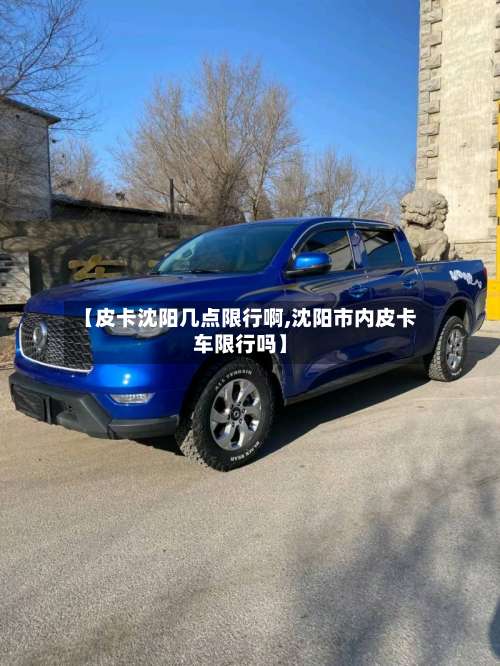 【皮卡沈阳几点限行啊,沈阳市内皮卡车限行吗】-第2张图片