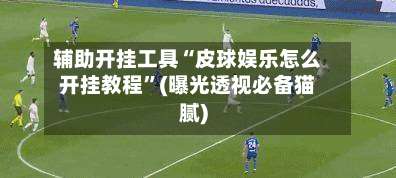 辅助开挂工具“皮球娱乐怎么开挂教程”(曝光透视必备猫腻)-第1张图片