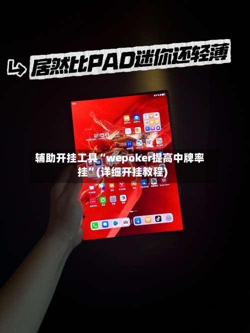 辅助开挂工具“wepoker提高中牌率挂”(详细开挂教程)-第3张图片