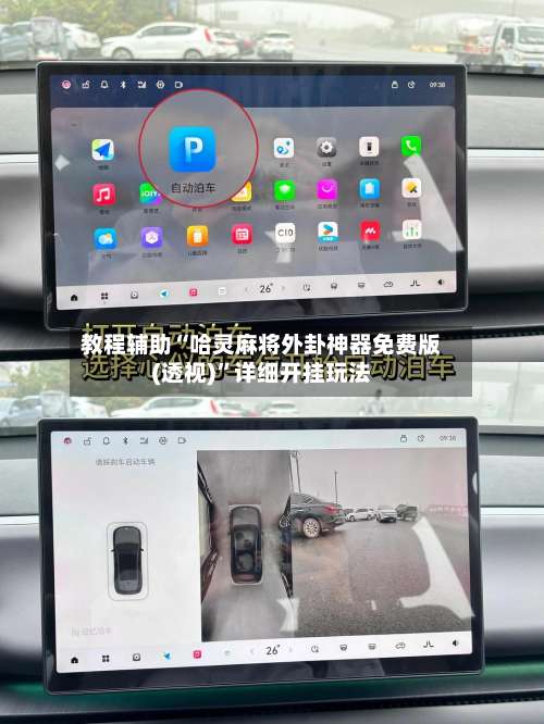 教程辅助“哈灵麻将外卦神器免费版(透视)”详细开挂玩法-第3张图片