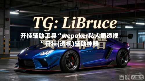 开挂辅助工具“wepoker私人局透视”开挂(透视)辅助神器-第2张图片