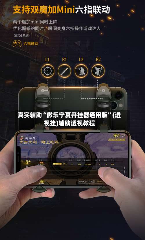 真实辅助“微乐宁夏开挂器通用版”(透视挂)辅助透视教程-第1张图片