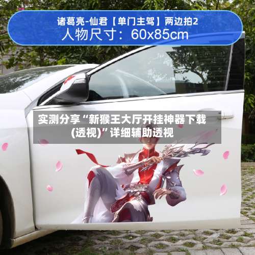 实测分享“新猴王大厅开挂神器下载(透视)	”详细辅助透视-第2张图片