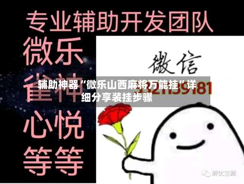 辅助神器“微乐山西麻将万能挂”详细分享装挂步骤-第2张图片