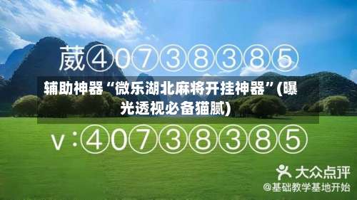 辅助神器“微乐湖北麻将开挂神器	”(曝光透视必备猫腻)-第2张图片