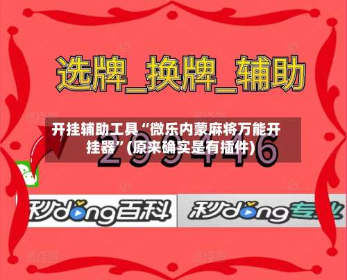 开挂辅助工具“微乐内蒙麻将万能开挂器	”(原来确实是有插件)-第2张图片