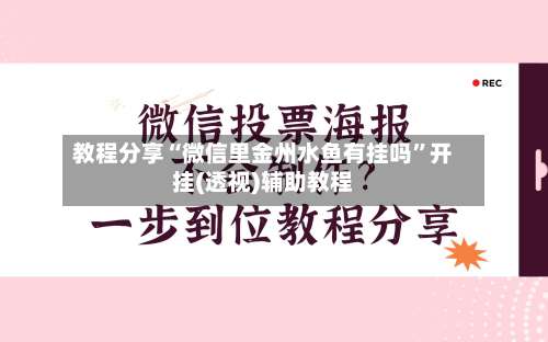 教程分享“微信里金州水鱼有挂吗”开挂(透视)辅助教程-第3张图片