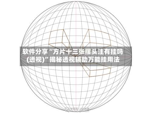 软件分享“方片十三张摆头注有挂吗(透视)	”揭秘透视辅助万能挂用法-第1张图片