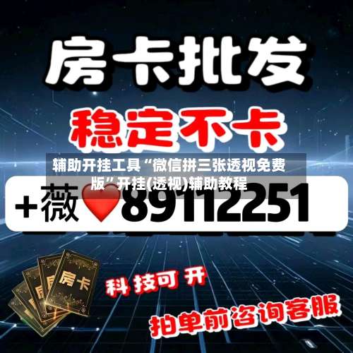 辅助开挂工具“微信拼三张透视免费版”开挂(透视)辅助教程-第1张图片