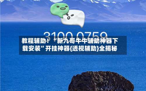 教程辅助！“新九哥牛牛辅助神器下载安装”开挂神器{透视辅助}全揭秘-第3张图片
