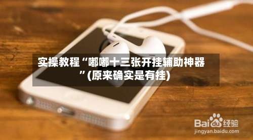 实操教程“嘟嘟十三张开挂辅助神器”(原来确实是有挂)-第2张图片