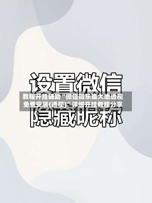 教程开挂辅助“微信微乐锄大地透视免费安装(透视)”详细开挂教程分享-第2张图片