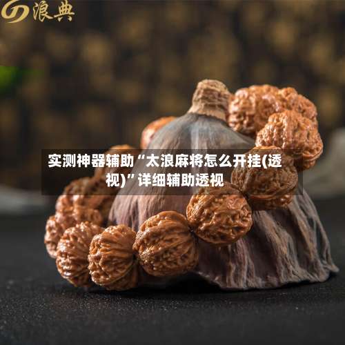 实测神器辅助“太浪麻将怎么开挂(透视)”详细辅助透视-第1张图片