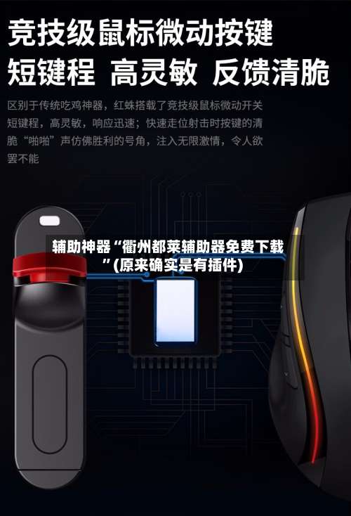 辅助神器“衢州都莱辅助器免费下载”(原来确实是有插件)-第2张图片