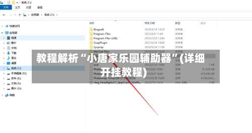 教程解析“小唐家乐园辅助器	”(详细开挂教程)-第2张图片