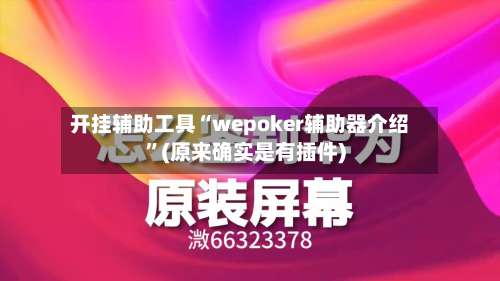开挂辅助工具“wepoker辅助器介绍”(原来确实是有插件)-第1张图片