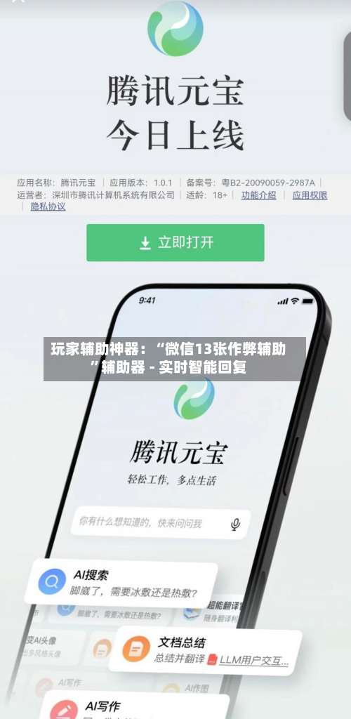 玩家辅助神器：“微信13张作弊辅助”辅助器 - 实时智能回复-第1张图片