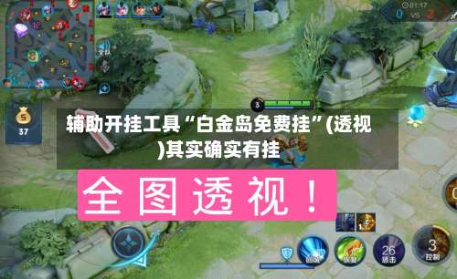辅助开挂工具“白金岛免费挂	”(透视)其实确实有挂-第1张图片