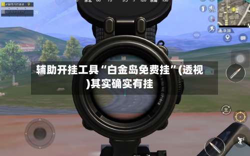辅助开挂工具“白金岛免费挂”(透视)其实确实有挂-第2张图片