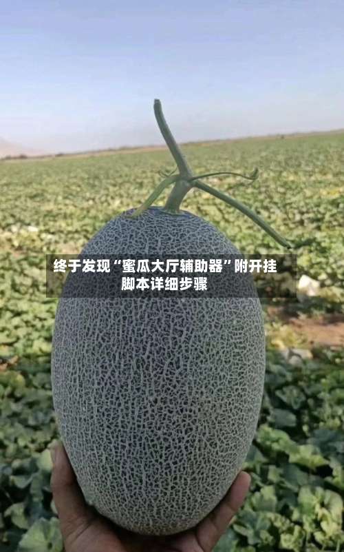 终于发现“蜜瓜大厅辅助器	”附开挂脚本详细步骤-第1张图片