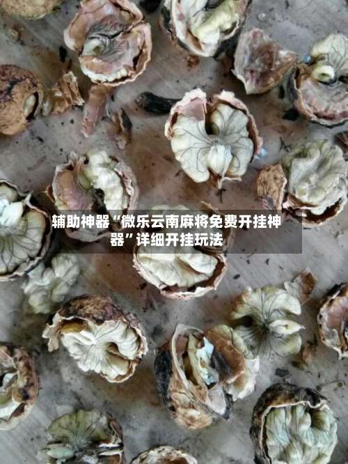 辅助神器“微乐云南麻将免费开挂神器”详细开挂玩法-第3张图片