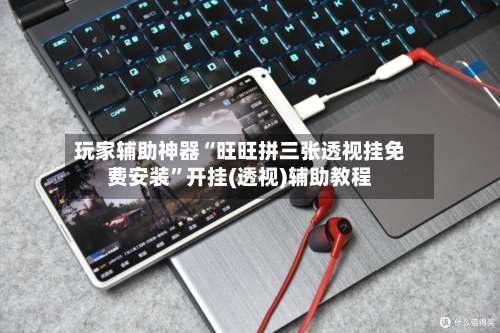 玩家辅助神器“旺旺拼三张透视挂免费安装”开挂(透视)辅助教程-第1张图片