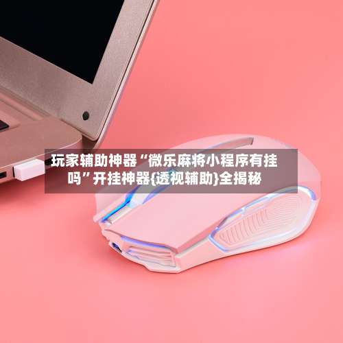 玩家辅助神器“微乐麻将小程序有挂吗”开挂神器{透视辅助}全揭秘-第1张图片