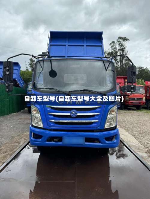自卸车型号(自卸车型号大全及图片)-第2张图片