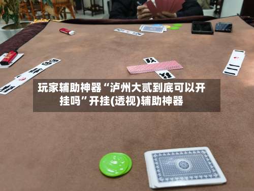 玩家辅助神器“泸州大贰到底可以开挂吗	”开挂(透视)辅助神器-第2张图片