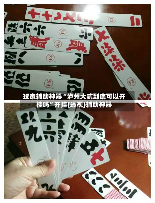 玩家辅助神器“泸州大贰到底可以开挂吗”开挂(透视)辅助神器-第1张图片