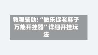 教程辅助!“微乐捉老麻子万能开挂器”详细开挂玩法-第1张图片
