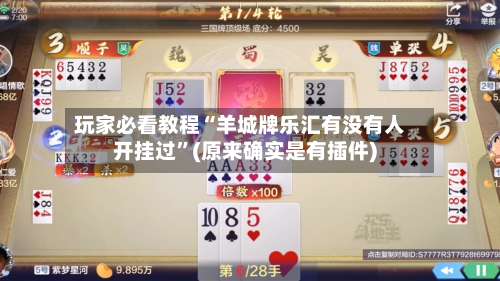 玩家必看教程“羊城牌乐汇有没有人开挂过”(原来确实是有插件)-第2张图片