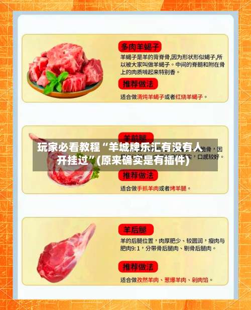 玩家必看教程“羊城牌乐汇有没有人开挂过”(原来确实是有插件)-第3张图片