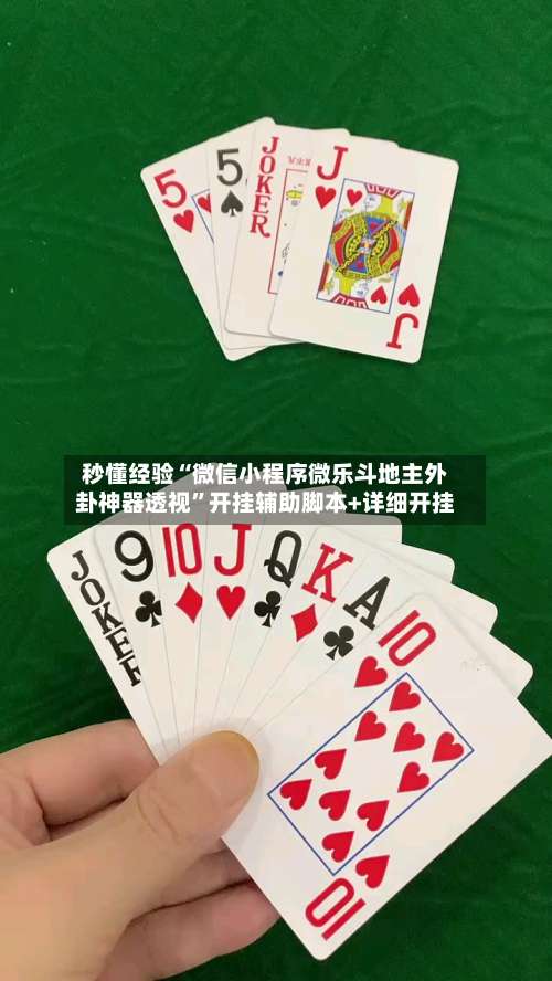秒懂经验“微信小程序微乐斗地主外卦神器透视”开挂辅助脚本+详细开挂-第1张图片
