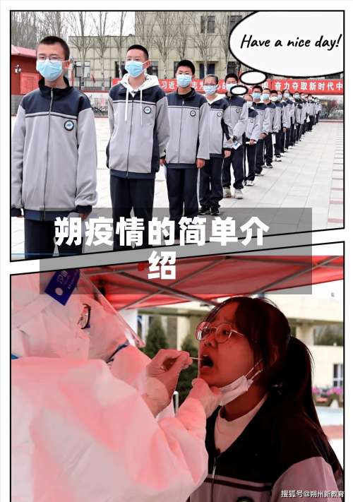 朔疫情的简单介绍-第1张图片